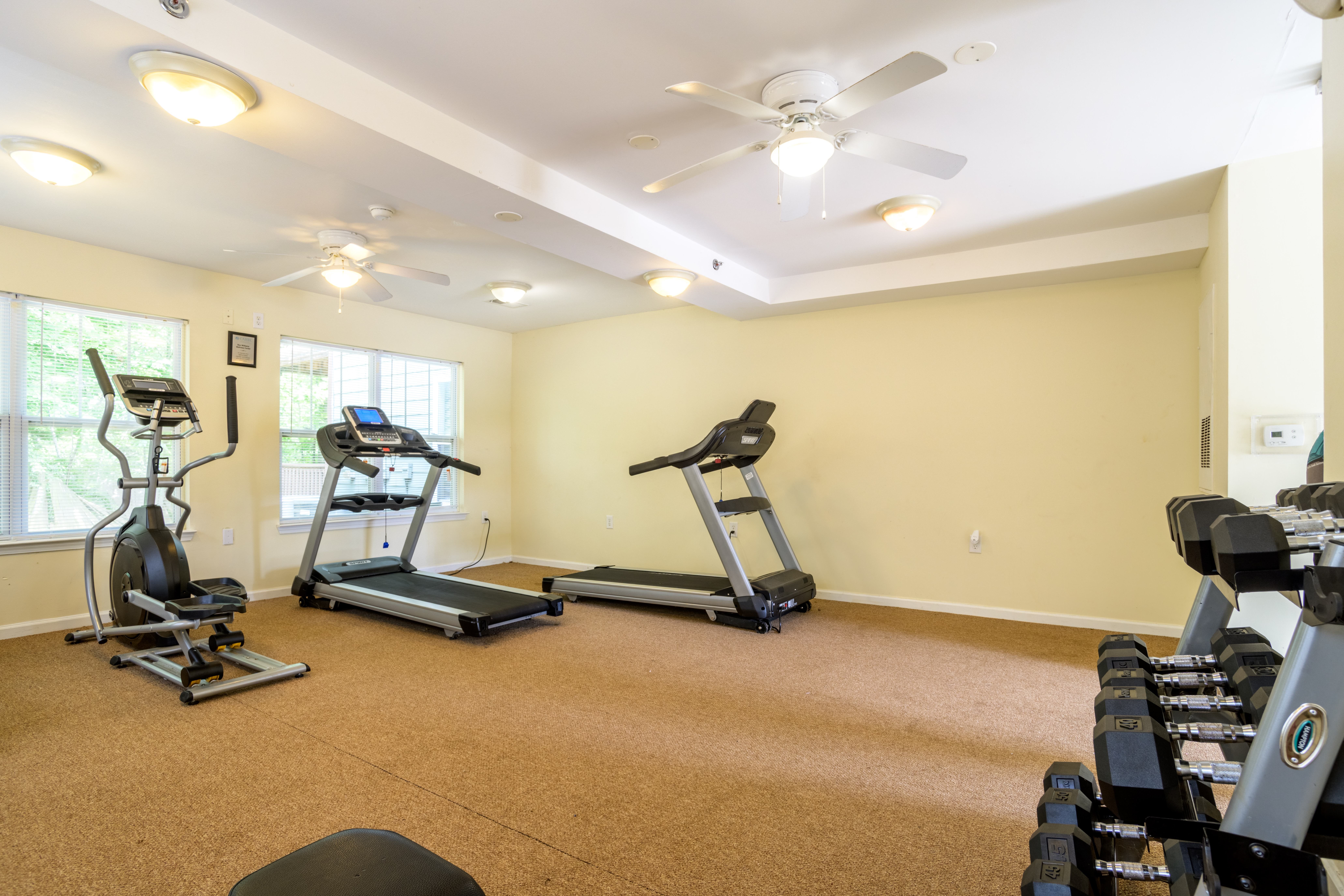 A spacious home gym with a variety of exercise equipment.,A spacious home gym with a variety of exercise equipment.